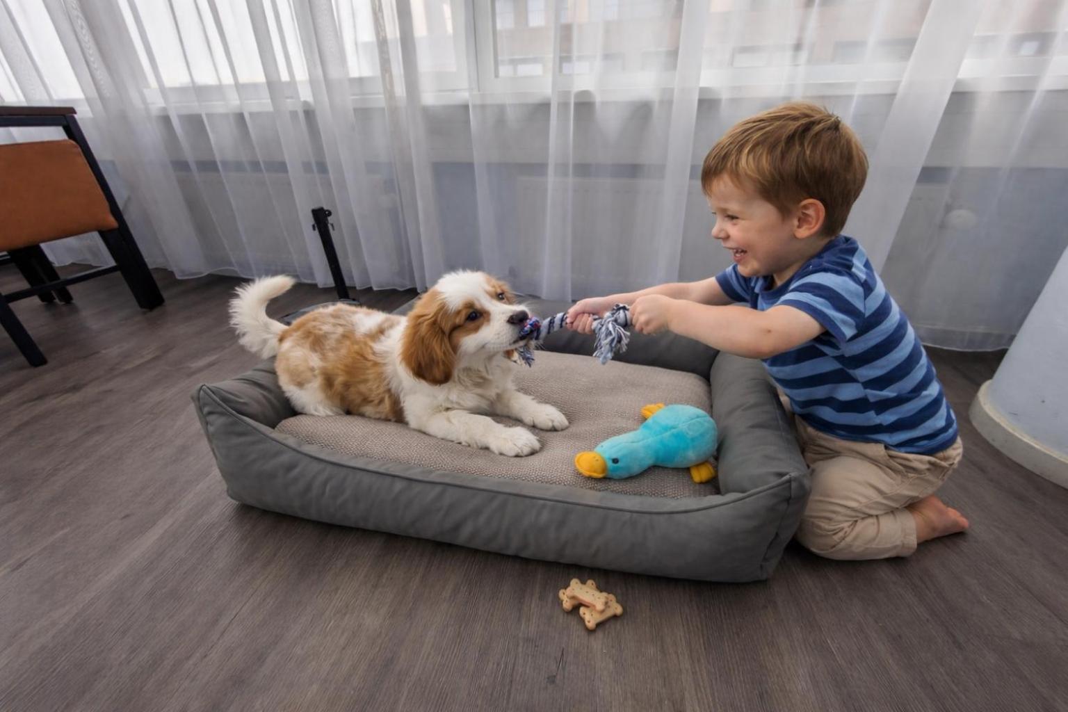 Teleport - Free Parking Hotel